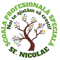 SF Nicolae logo